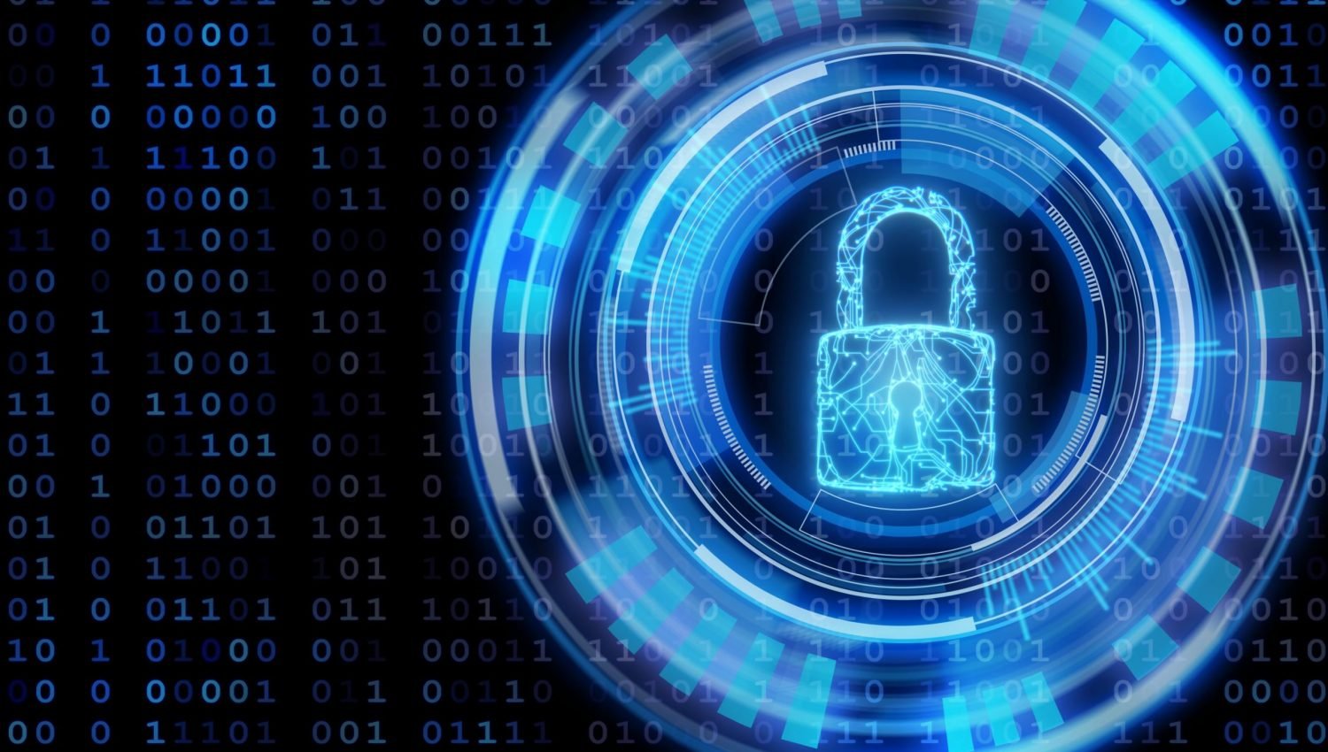 Securing Sensitive Information: Exploring the World of Data Anonymization securing-sensitive-information:-exploring-the-world-of-data-anonymization