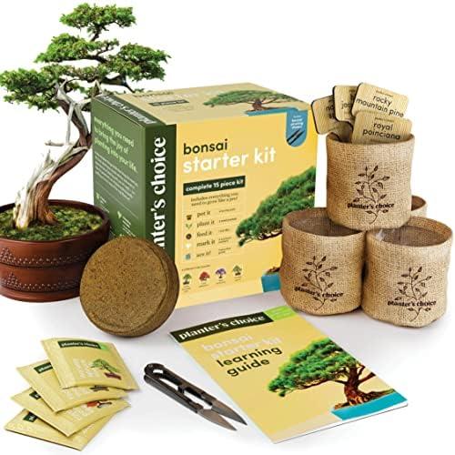Growing Together: Our Experience with the Bonsai Starter Kit