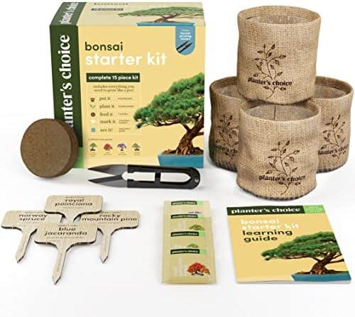 Growing together: Our Experience with the ​Bonsai​ Starter kit