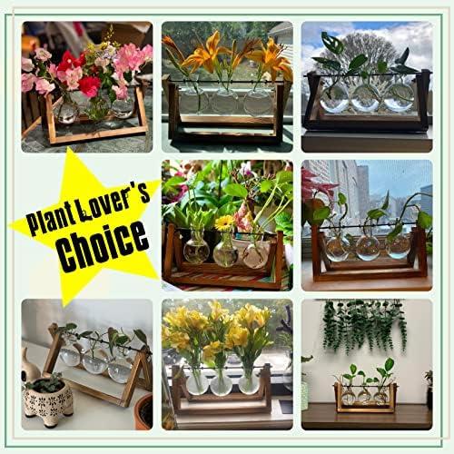 Elevate Our Spaces:⁤ Reviewing‌ the ‌Elegant XXXFLOWER Terrarium