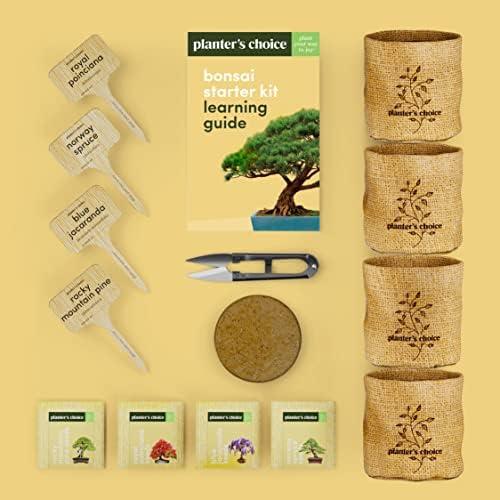 Discover the Art of Bonsai: Our Starter Kit Review
