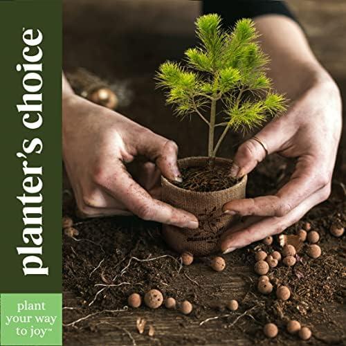 Discover the Art ⁤of⁣ Bonsai: Our Starter kit Review