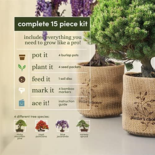 Discover the Art of⁤ Bonsai: ⁤Our ‌Starter Kit Review