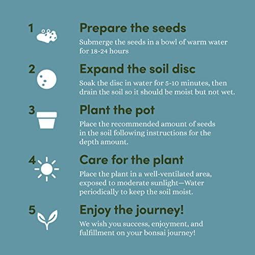 Discover the‌ Art of Bonsai: ‌Our starter Kit Review