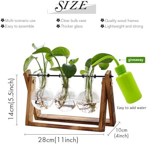 Enhancing⁣ Our ⁣Space: A Review of the XXXFLOWER Terrarium