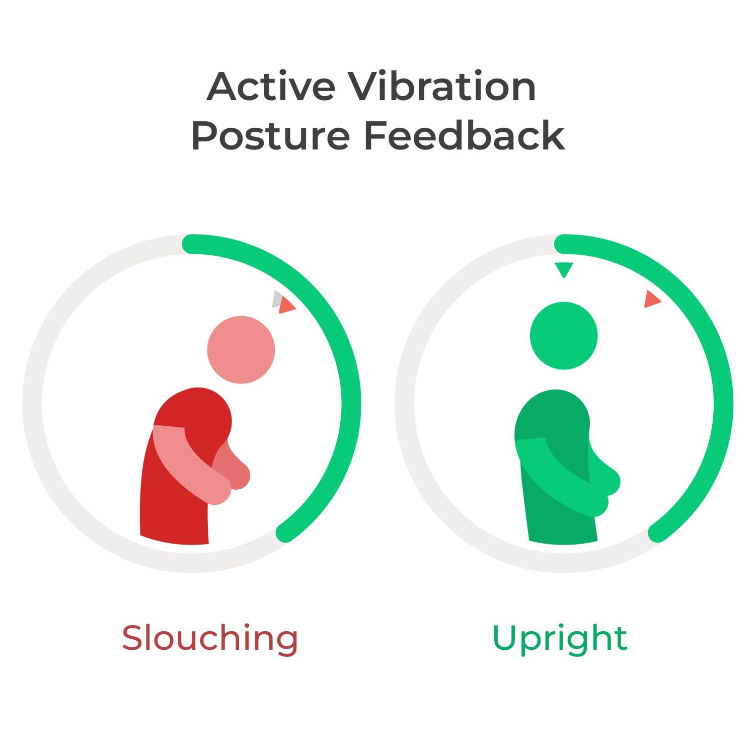 Transforming Our Posture: A Review of the Upright GO 2 Trainer