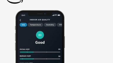 Our Evaluation of the Amazon Smart Air Quality Monitor with Alexa
