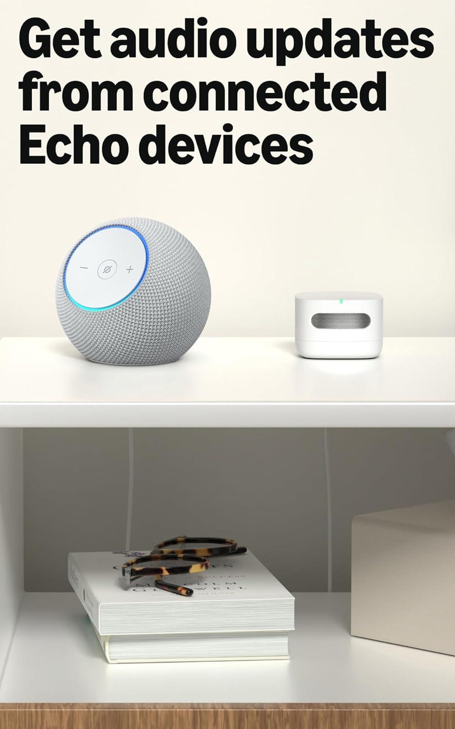 Our Evaluation of the Amazon Smart Air Quality Monitor with Alexa