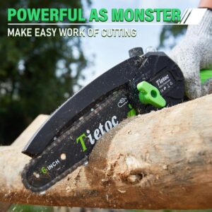 Our Review of the Tietoc Mini Chainsaw: Compact Power, With Caveats