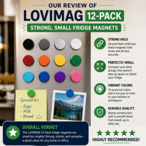 Our Review of LOVIMAG 12-Pack Strong, Small Fridge Magnets